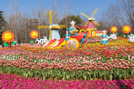 Tulip in early springの写真素材