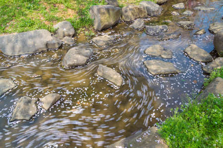 River at parkの写真素材