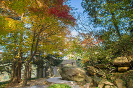 The early autumn landscape of Mount Luの写真素材