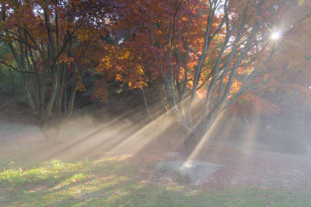 The early autumn landscape of Mount Luの写真素材