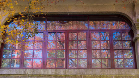 The early autumn view reflection on window