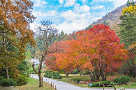 The early autumn landscape of Mount Luの写真素材