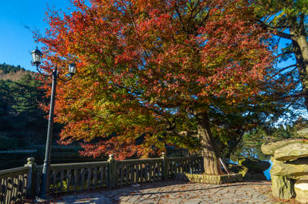 Autumn scenery of Jiangxi Jiujiang Lushan Geological Parkの写真素材