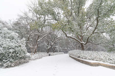 Wuhan winter snow sceneryの写真素材