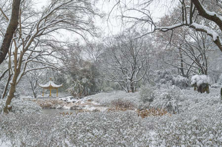 Wuhan winter snow sceneryの写真素材