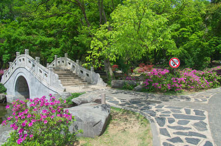 Charming scenery in the spring forest parkの写真素材