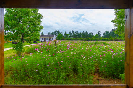 Early summer scenery of Wuhan Mulan Grassland Scenic Area, Hubeiのeditorial素材