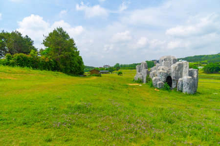Early summer scenery of Wuhan Mulan Grassland Scenic Area, Hubeiの写真素材