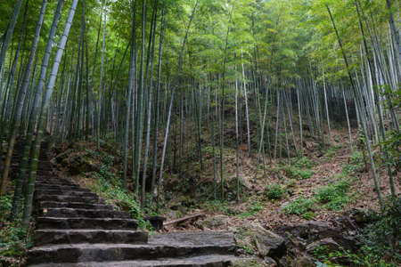Summer scenery of Zhuhai Scenic Spot, Yixing, Jiangsuの写真素材