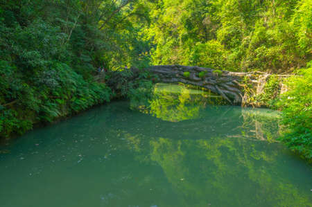 Summer scenery of the Three Gorges Great Falls Scenic Area in Yichang, Hubeiのeditorial素材