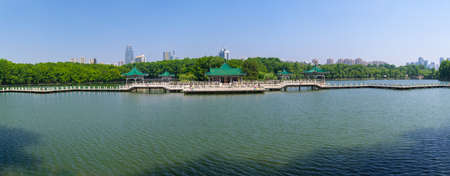 Summer scenery of Wuhan East Lake Scenic Areaの写真素材
