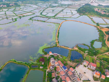 Aerial photography of Baoye Lake National Wetland Park, Daye, Hubeiの写真素材