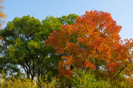 Late autumn scenery of East Lake Scenic Area in Wuhan, Hubeiの写真素材