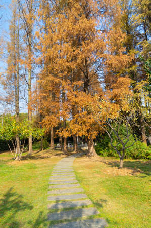 Late autumn scenery of East Lake Scenic Area in Wuhan, Hubeiの写真素材