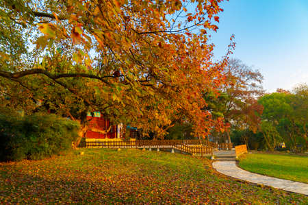 Late autumn scenery of East Lake Scenic Area in Wuhan, Hubeiの写真素材