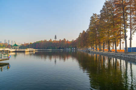 Late autumn scenery of East Lake Scenic Area in Wuhan, Hubeiの写真素材