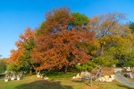 Late autumn scenery of East Lake Scenic Area in Wuhan, Hubeiの写真素材