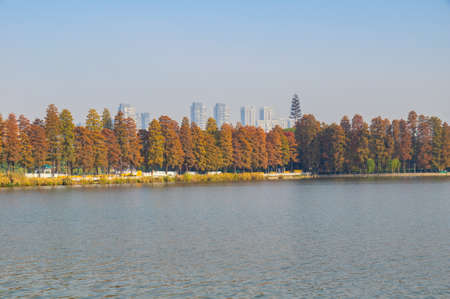 Late autumn scenery of East Lake Scenic Area in Wuhan, Hubeiの写真素材