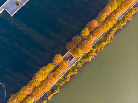 Hubei Wuhan East Lake Scenic Area Late Autumn Aerial Photography Sceneryの写真素材