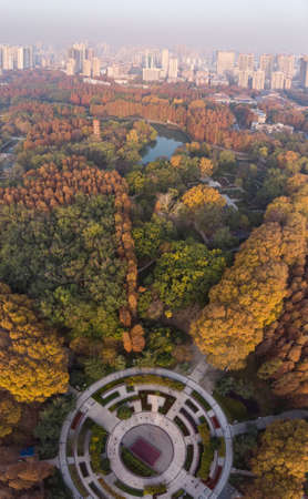 Hubei Wuhan Liberation Park late autumn sceneryの写真素材
