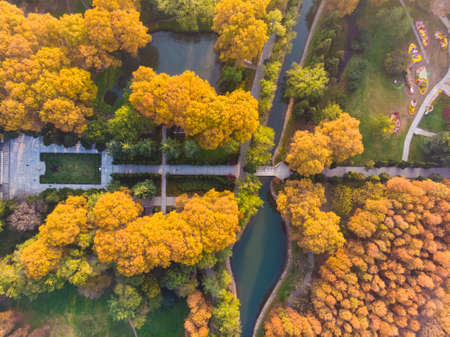 Hubei Wuhan Liberation Park late autumn sceneryの写真素材