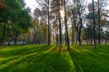 Hubei Wuhan Liberation Park late autumn sceneryの写真素材
