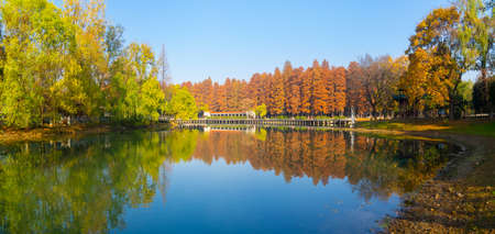 Hubei Wuhan Liberation Park late autumn sceneryの写真素材
