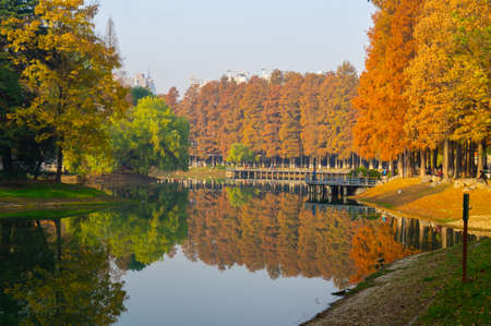 Hubei Wuhan Liberation Park late autumn aerial sceneryの写真素材