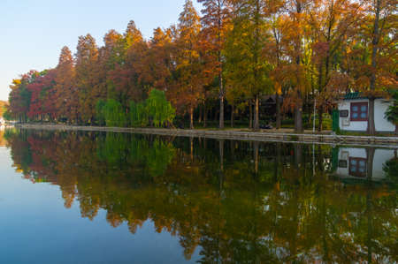 Late autumn scenery of East Lake Scenic Area in Wuhan, Hubeiのeditorial素材