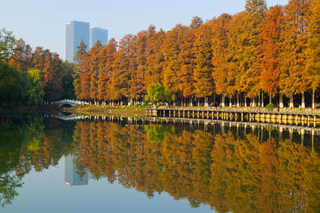 Hubei Wuhan Liberation Park late autumn sceneryのeditorial素材