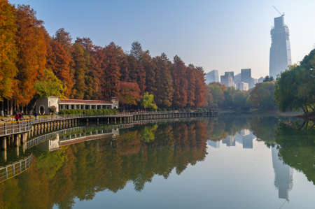 Hubei Wuhan Liberation Park late autumn sceneryのeditorial素材