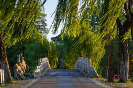 Summer scenery of East Lake Tourism Scenic Area in Wuhan, Hubeiの写真素材