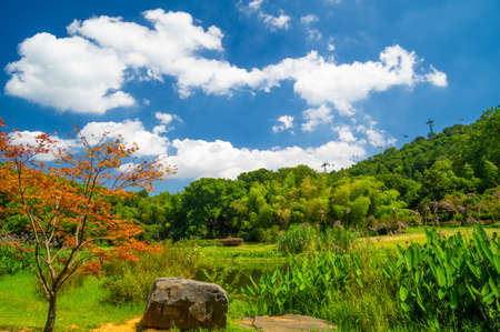 Summer scenery of East Lake Tourism Scenic Area in Wuhan, Hubeiの写真素材