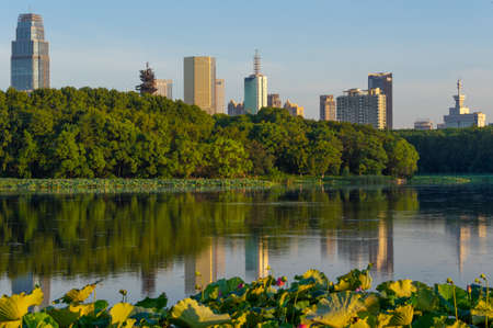 Summer scenery of East Lake Tourism Scenic Area in Wuhan, Hubeiのeditorial素材