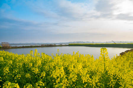 Spring scenery of Baoan Lake and Zhaoshan Forest Park in Huangshi, Hubei