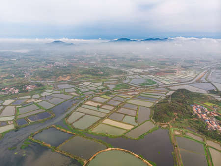 Spring scenery of Baoan Lake and Zhaoshan Forest Park in Huangshi, Hubeiの写真素材
