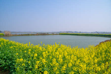 Spring scenery of Baoan Lake and Zhaoshan Forest Park in Huangshi, Hubeiの写真素材