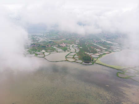 Spring scenery of Baoan Lake and Zhaoshan Forest Park in Huangshi, Hubeiの写真素材