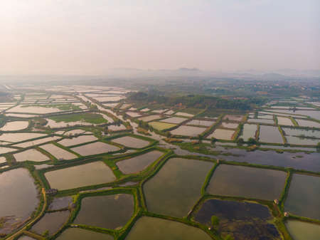 Spring aerial scenery of Baoan Lake and Zhaoshan Forest Park in Huangshi, Hubeiの写真素材
