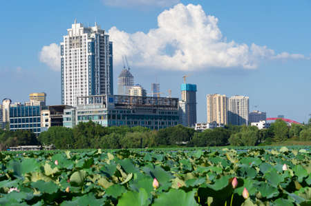 Hubei Wuhan summer city skyline sceneryのeditorial素材