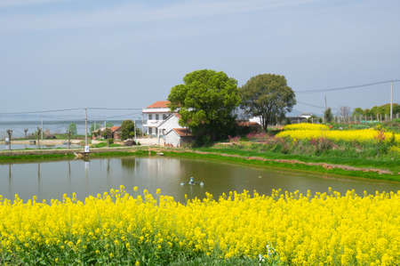 Spring scenery of Baoan Lake and Zhaoshan Forest Park in Huangshi, Hubei