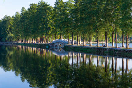 Summer scenery of East Lake Tourism Scenic Area in Wuhan, Hubei