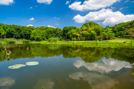 Summer scenery of East Lake Tourism Scenic Area in Wuhan, Hubeiの写真素材