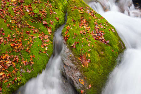 Autumn scenery of Muyuxiangxiyuan Scenic Area in Shennongjia, Hubeiの写真素材