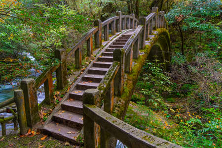 Autumn scenery of Muyuxiangxiyuan Scenic Area in Shennongjia, Hubei