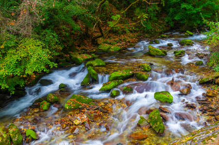 Autumn scenery of Muyuxiangxiyuan Scenic Area in Shennongjia, Hubeiの写真素材