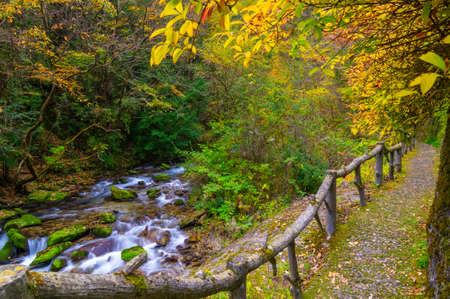 Autumn scenery of Muyuxiangxiyuan Scenic Area in Shennongjia, Hubei