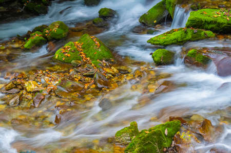 Autumn scenery of Muyuxiangxiyuan Scenic Area in Shennongjia, Hubei