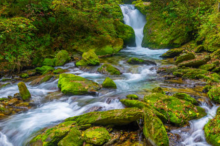Autumn scenery of Muyuxiangxiyuan Scenic Area in Shennongjia, Hubeiの写真素材