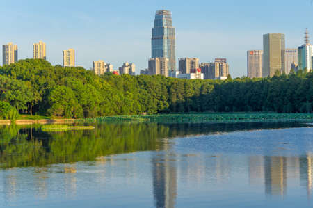 Summer scenery of East Lake Tourism Scenic Area in Wuhan, Hubeiのeditorial素材